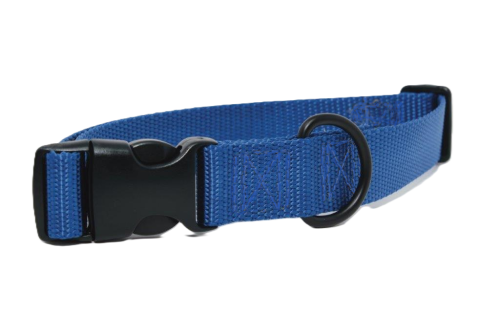 Dog Collar, Blue Webbing, Blue Thread