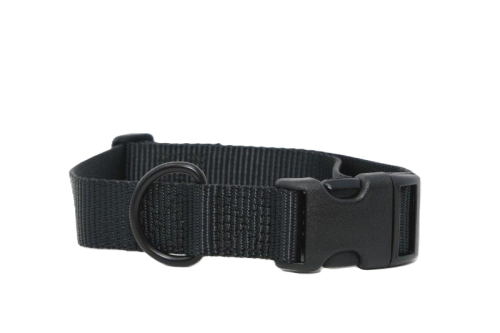 Dog Collar, Black Webbing, Black Thread