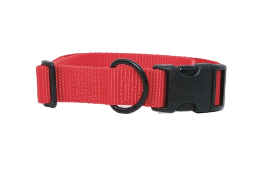 Dog Collar, Red Webbing, Red Thread
