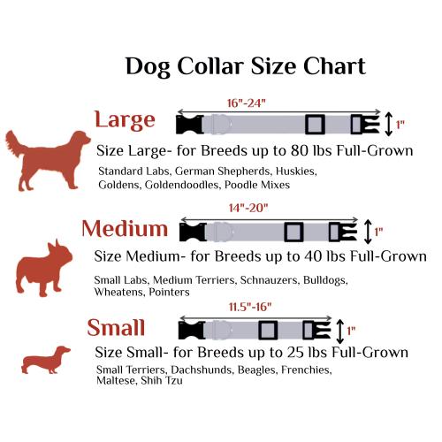 Dog collar size chart with illustrations for small, medium, and large dogs
