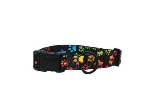 Dog Collar, Black Rainbow Paw Webbing, Rainbow Thread