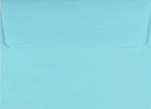 PPP330840