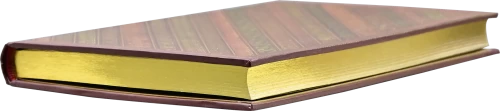 PPP343017