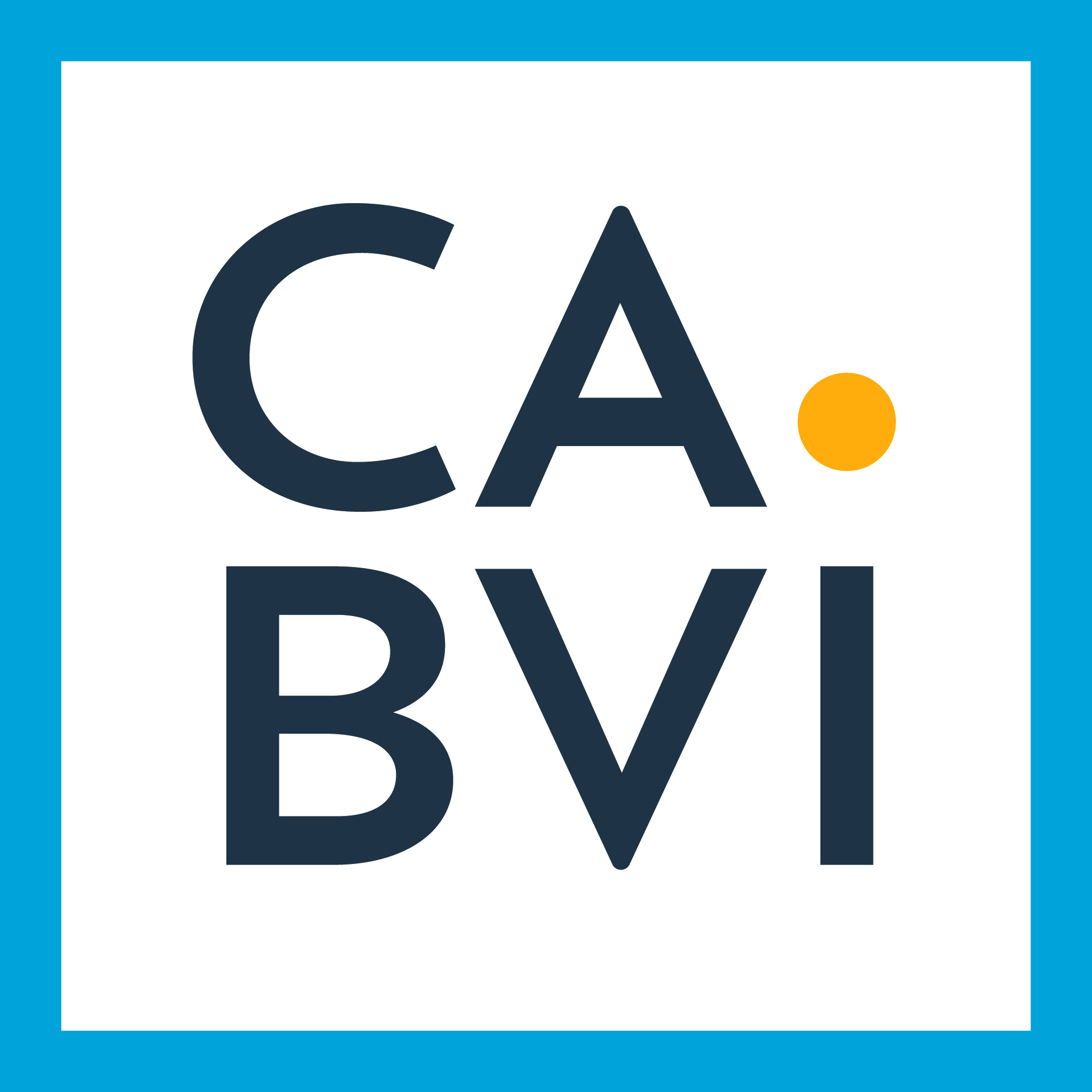 Central Association for Blind and Visually Impaired