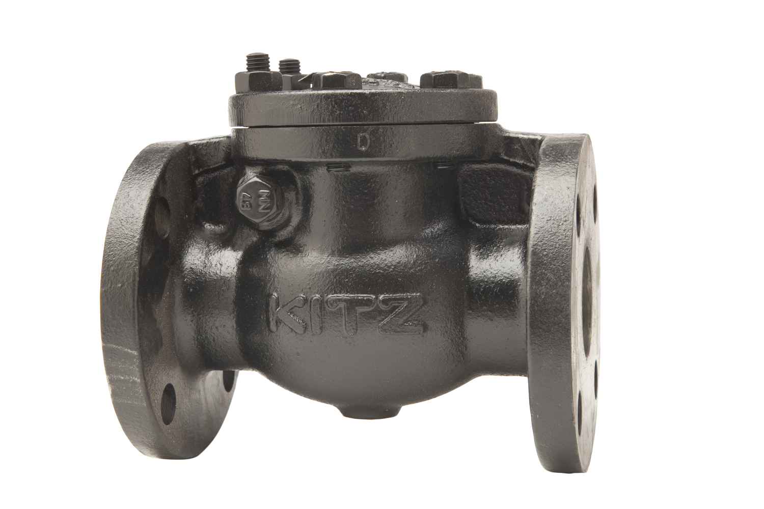 Kitz 78 125 Cast Iron Flanged Swing Check Valve Hayward Pipe