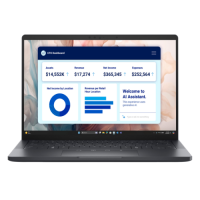 Dell Pro 13 Laptop