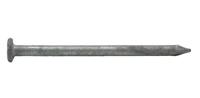 PRO-FIT Hot-Dipped Galvanized Smooth Common Nails, 12D, 3-1/4 in (5 lb Box)