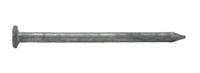 PRO-FIT Hot-Dipped Galvanized Smooth Common Nails, 16D, 3-1/2 in (5 lb Box)
