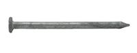 PRO-FIT Hot-Dipped Galvanized Smooth Common Nails, 8D, 2-1/2 in (5 lb Box)
