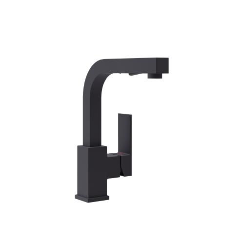 Duro Single Handle Pull-Out Kitchen Faucet