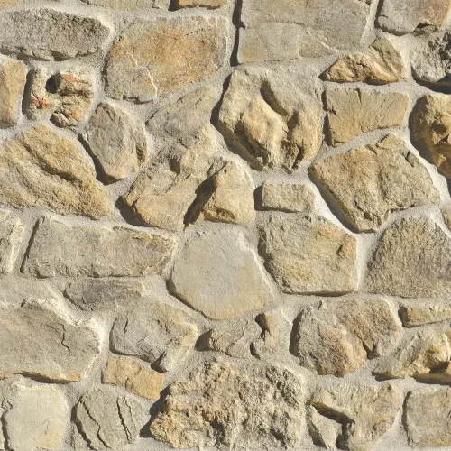 foothill-rubble-coyote