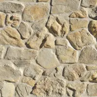 Foothill Rubble COYOTE