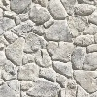 Foothill Rubble WILDFLOWER