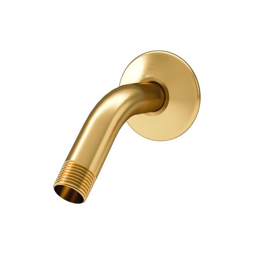 6" Shower Arm & Flange