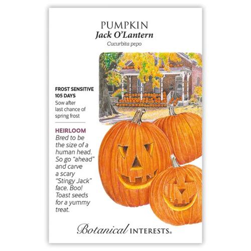 0039 Pumpkin Jack O'Lantern