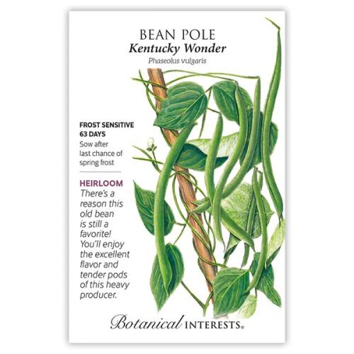 0117 Bean Pole Kentucky Wonder