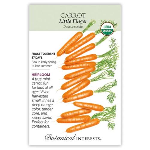 0126 Carrot Baby Little Finger