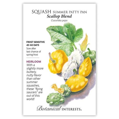 0163 Squash Summer Scallop Blend