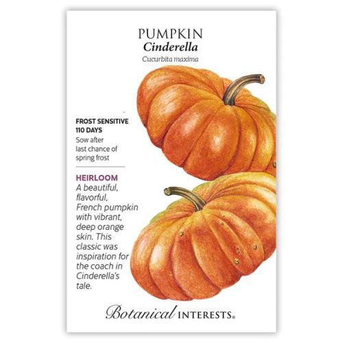0170 Pumpkin French Cinderella