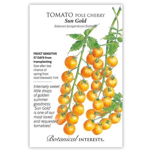 0185 Tomato Cherry Sun Gold