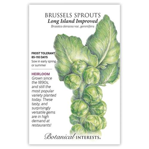 0208 Brussels Sprouts Long Island Imp