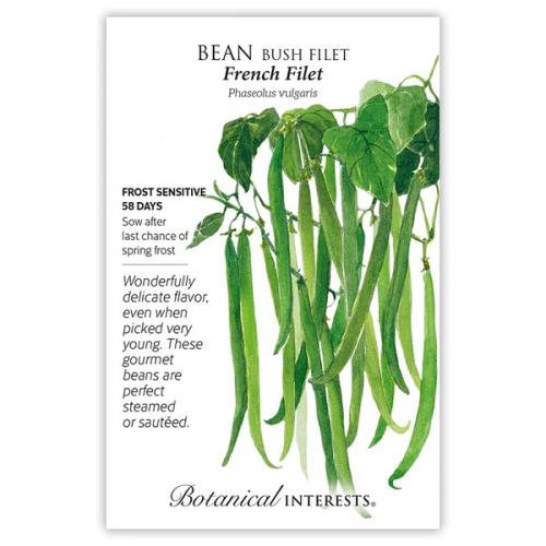 0228 Bean Bush French Filet - Seed