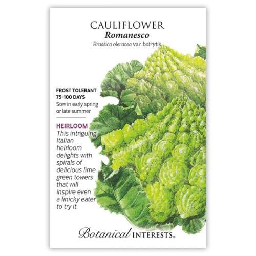 0235 Cauliflower Romanesco
