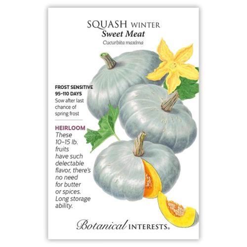 0245 Squash Winter Sweet Meat - Seed