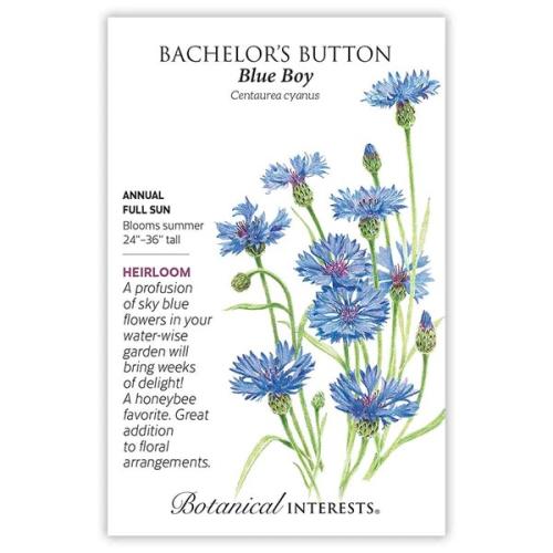 1002 Bachelor Button Blue Boy