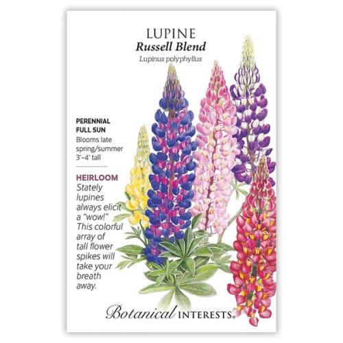 1025 Lupine Russell Blend