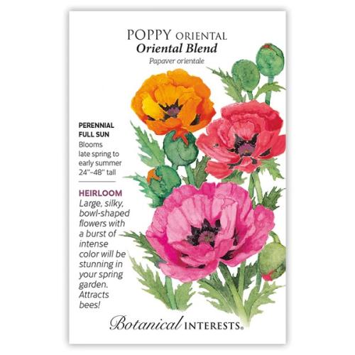 1034 Poppy Oriental Blend