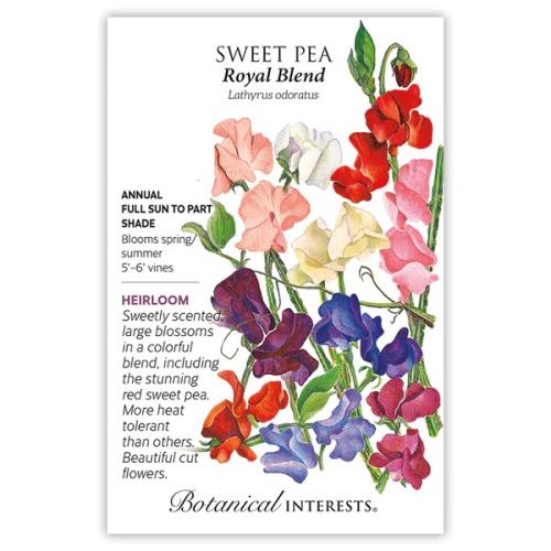 1042 Sweet Pea Royal Blend