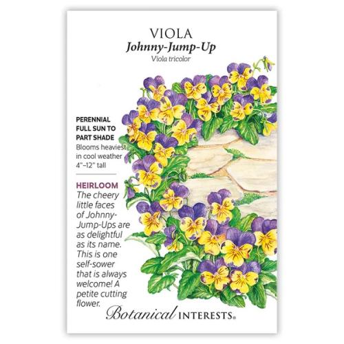 1045 Viola Johnny-Jump-Up - Seed