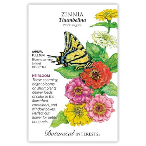 1048 Zinnia Thumbelina - Seed