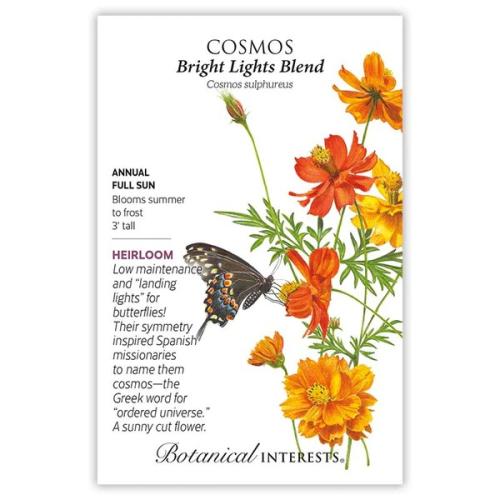 1049 Cosmos Bright Lights Blend