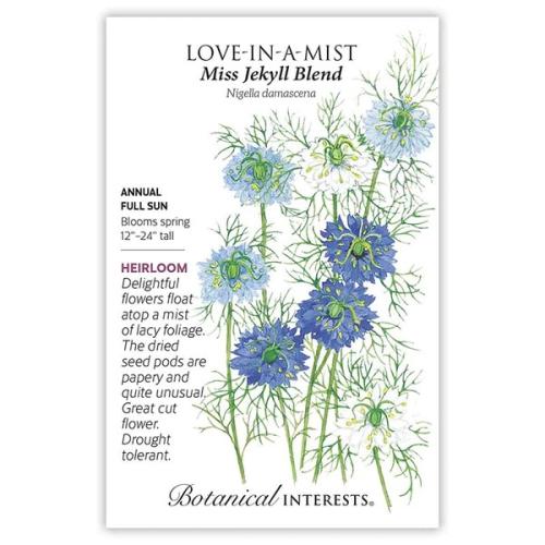 1054 Love in a Mist Miss Jekyll Blend - Seed