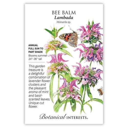 1085 Bee Balm Lambada