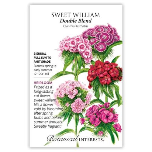 1087 Sweet William Double Blend