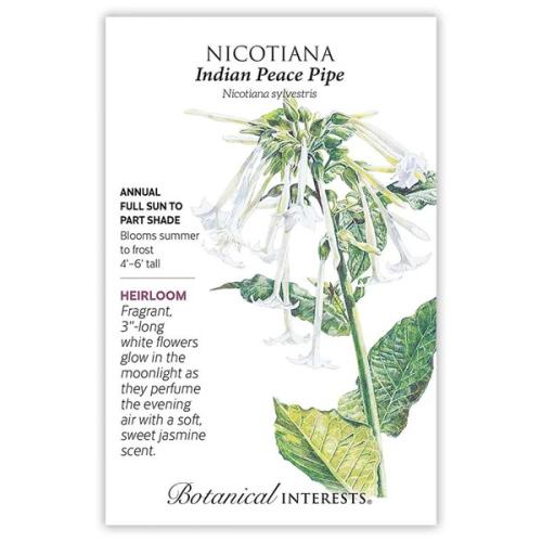 1120 Nicotiana Indian Peace Pipe - Seed