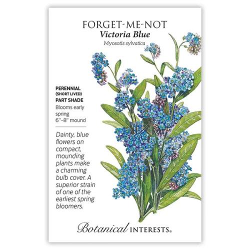 1121 Forget-Me-Not Victoria Blue - Seed