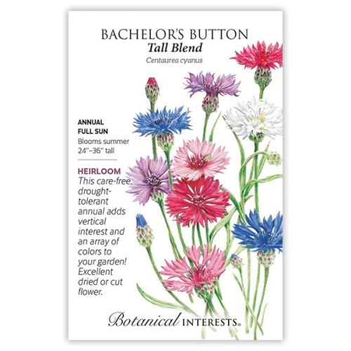 1176 Bachelor Button Tall Blend