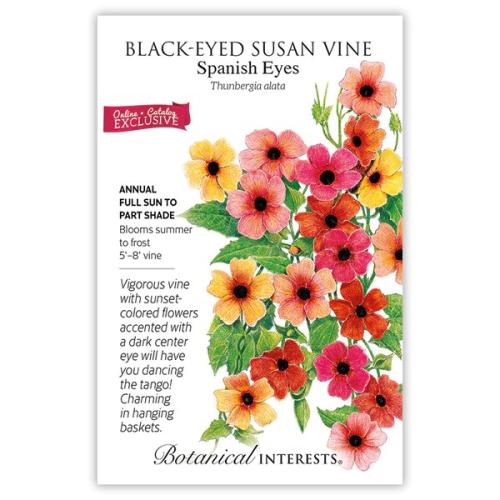 1182 Black-Eyed Susan Vn Spanish Eyes