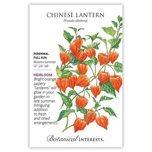 1186 Chinese Lantern