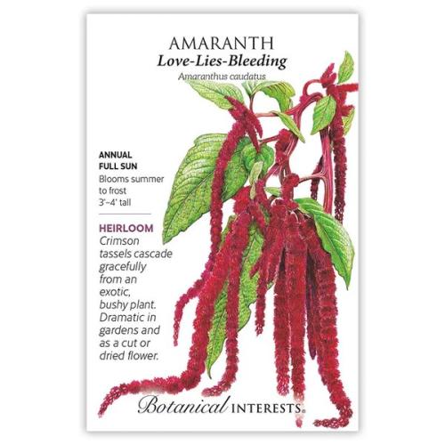 1190 AMARANTH Love Lies Bleeding