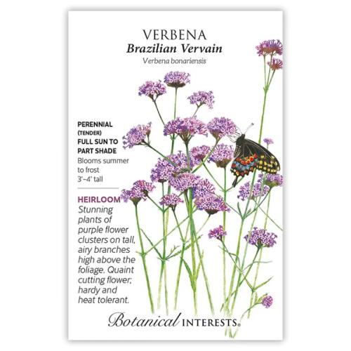 1192 Verbena Brazilian Vervain