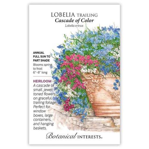 1195 Lobelia Trailing Cascade of