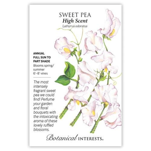 1237 Sweet Pea High Scent