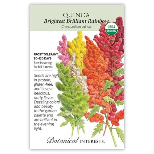 2013 Quinoa Brightest Rainbow Org