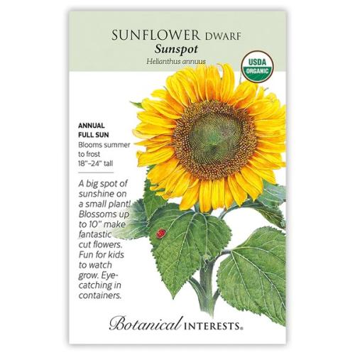 2014 Sunflower Sunspot Org