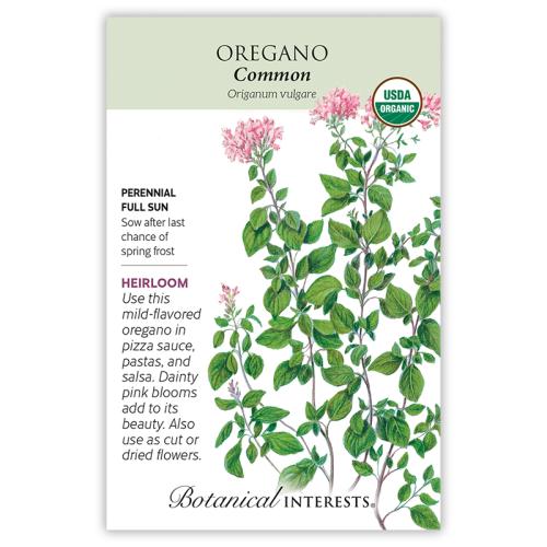 6110 Oregano Common Org  - Seed